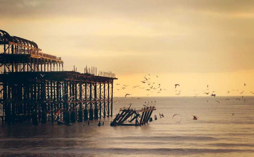 Saving Ourselves: Our Journey&nbsp;Begins